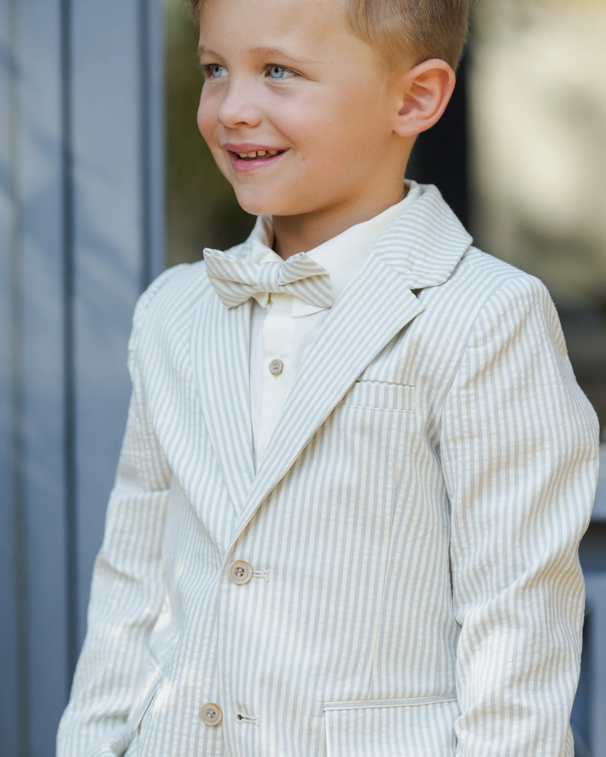 Sebastian Blazer Sky Stripe - Image 6
